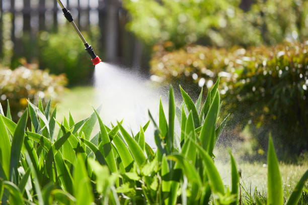 24/7 Emergency Ant Control experts in Bessemer, MI