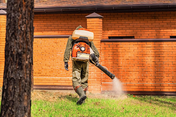 Trusted Termite Control service in Bessemer, MI - Nex Pest Control